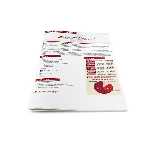 CetoandAssociatesBrochure.png