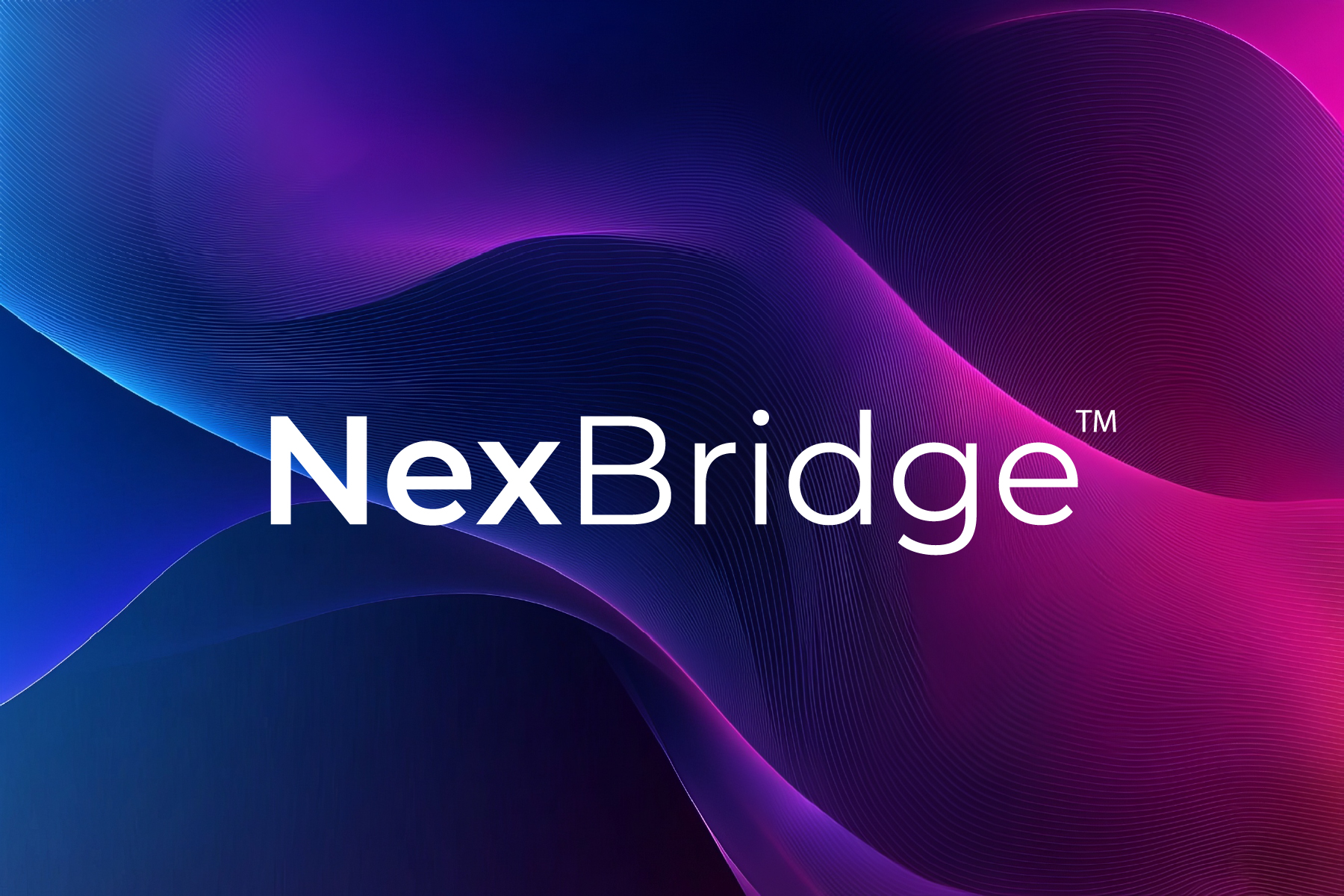 NexBridge Logo